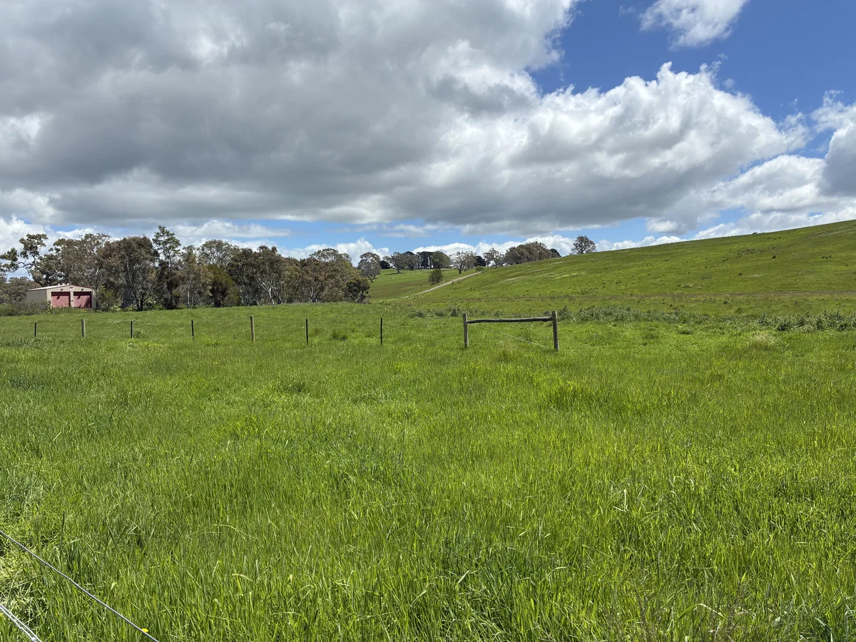 Additional image 15 of 1948 Nareen Road, Nareen VIC 3315