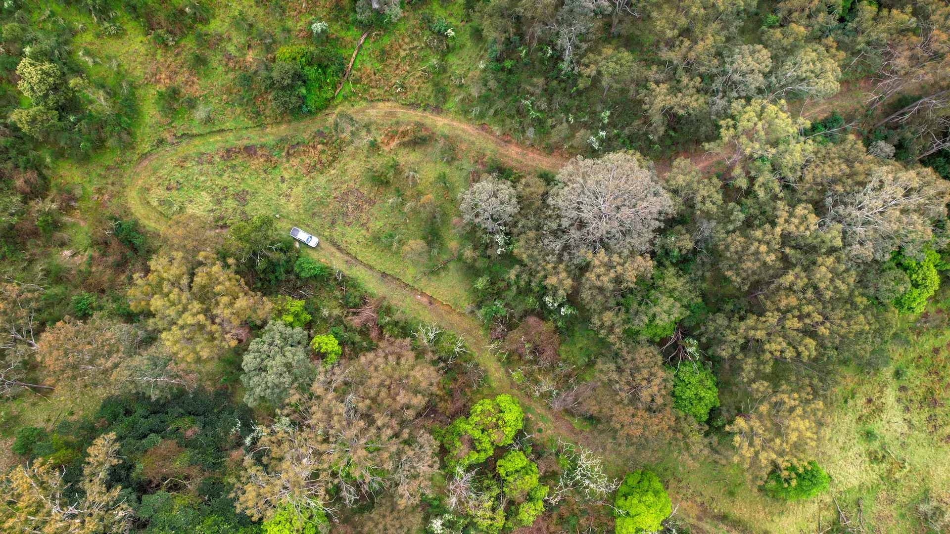 Additional image 26 of 322 Neringla Road, Braidwood NSW 2622