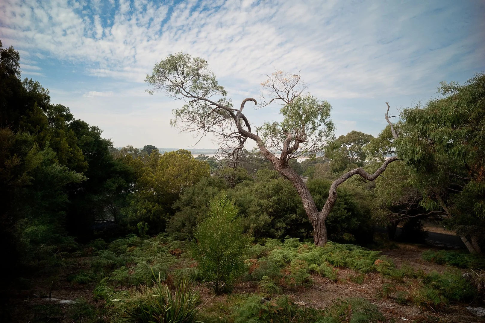 Additional image 4 of 139 Toorak Avenue, Loch Sport VIC 3851