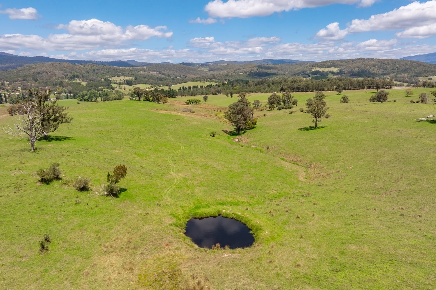 Additional image 33 of 2499 Towamba Road, Towamba NSW 2550