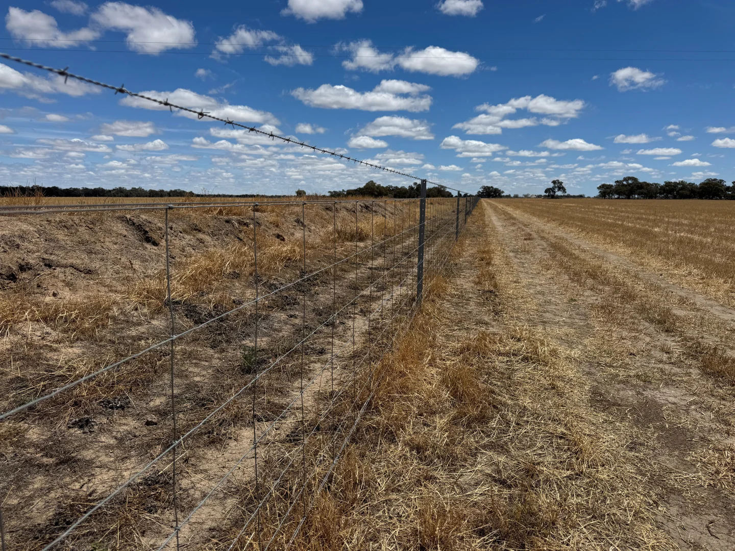 Additional image 60 of 300 Devon Road, Deniliquin NSW 2710