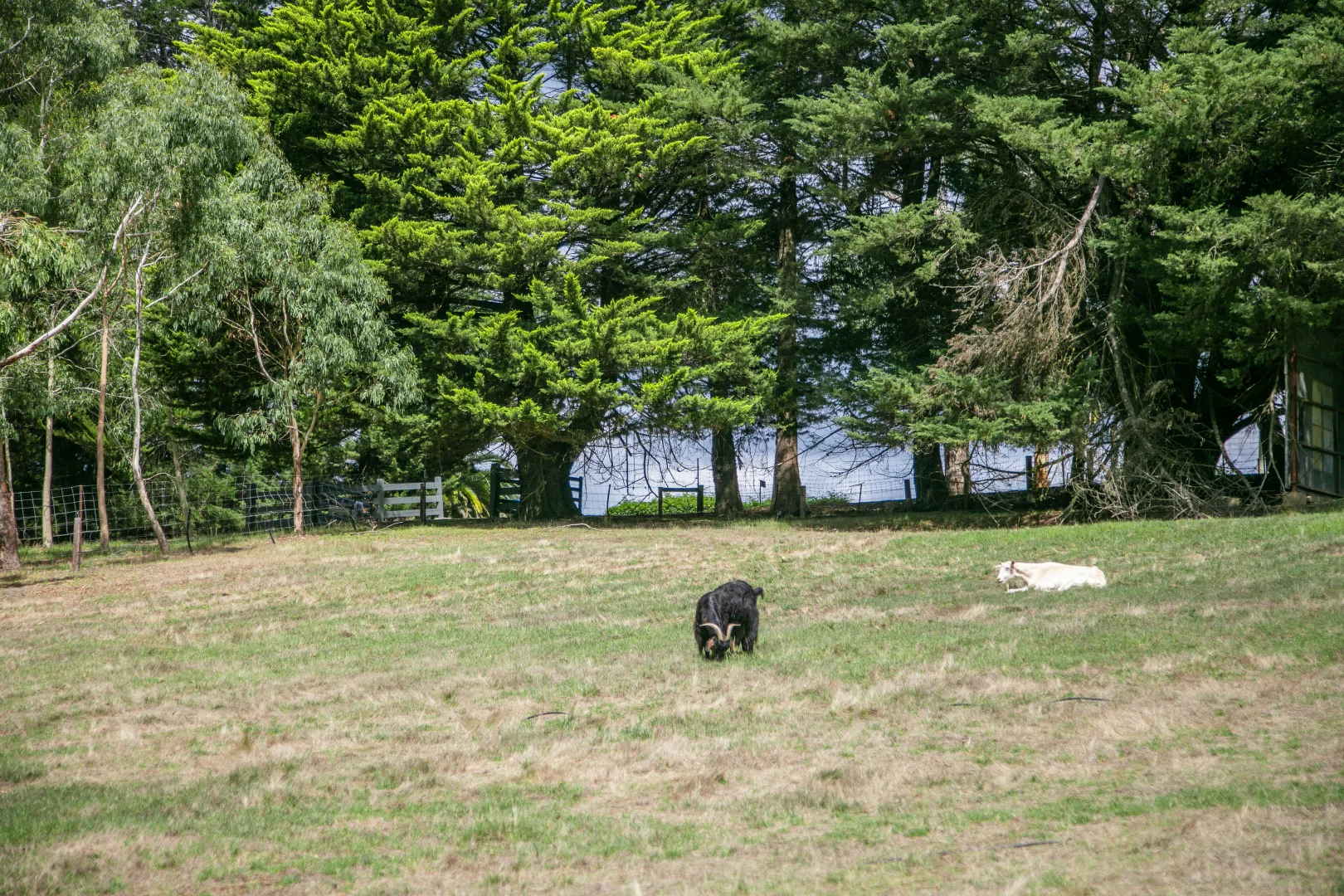 Additional image 26 of 57 Tanahmerah Road, Balhannah SA 5242