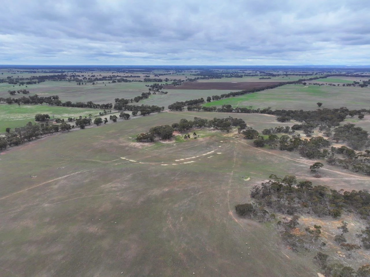 Additional image 18 of Lot 1 Rheola - Llanelly Road, Murphys Creek VIC 3551