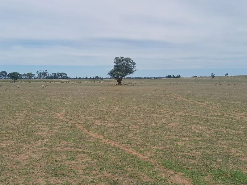 Additional image 26 of Tooraweenah NSW 2817