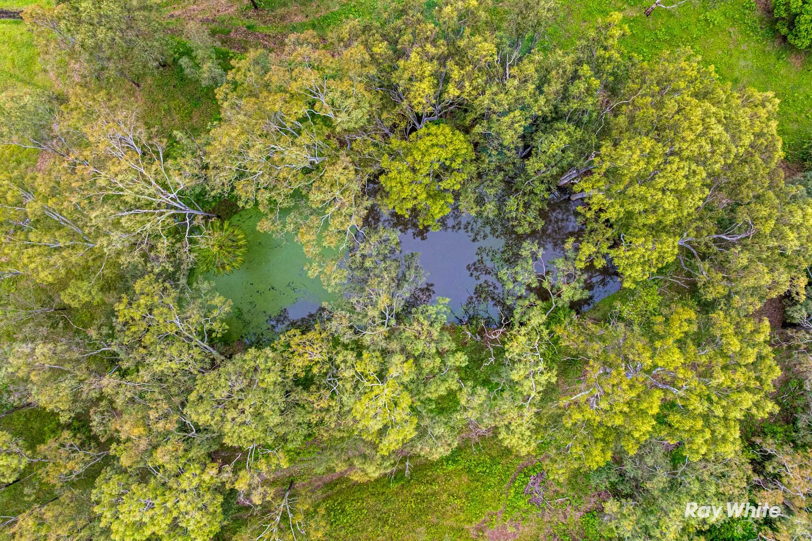 Additional image 34 of 144 Howes Road, Farnborough QLD 4703