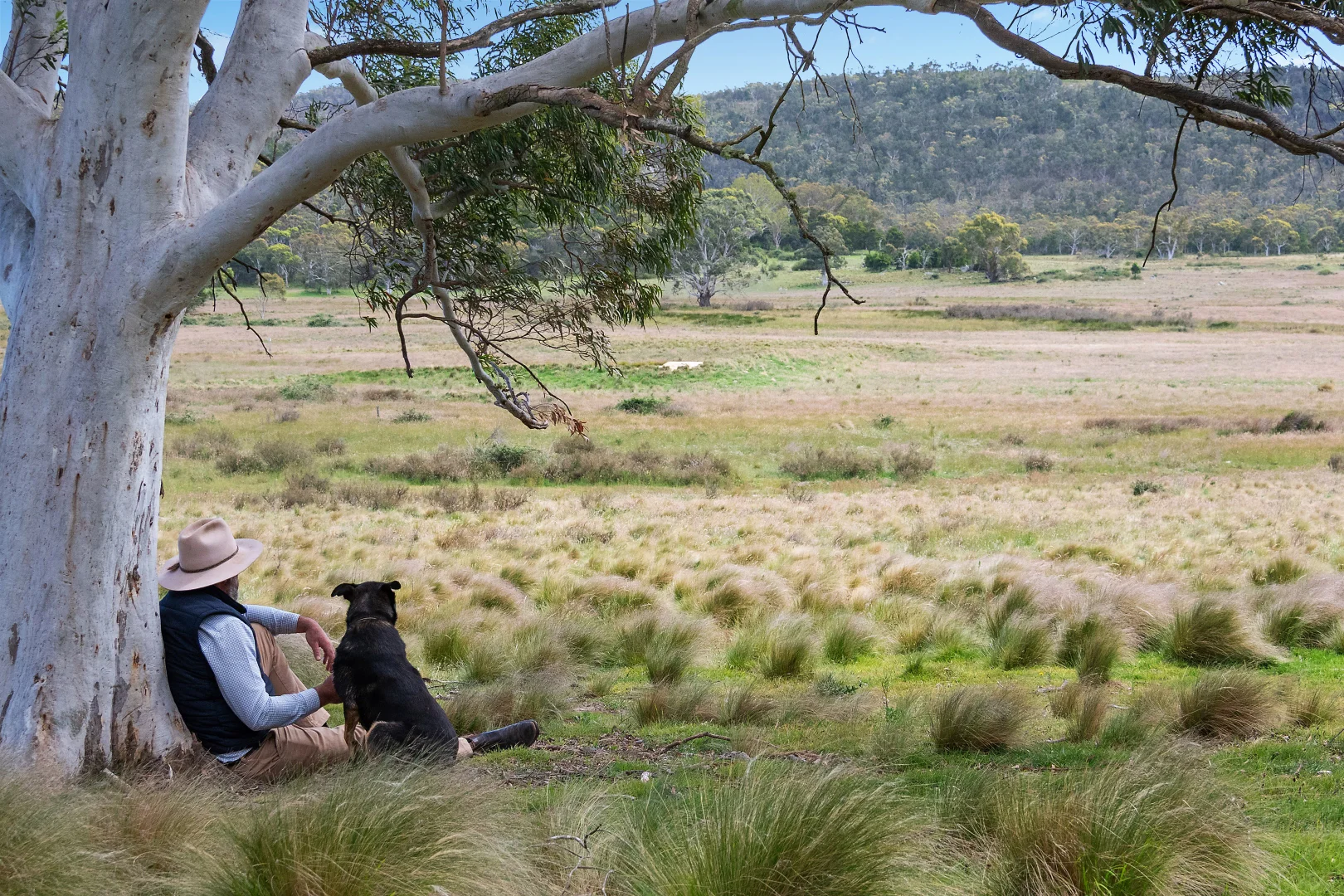 Additional image 14 of 14/371 Mayfield Road, Braidwood NSW 2622