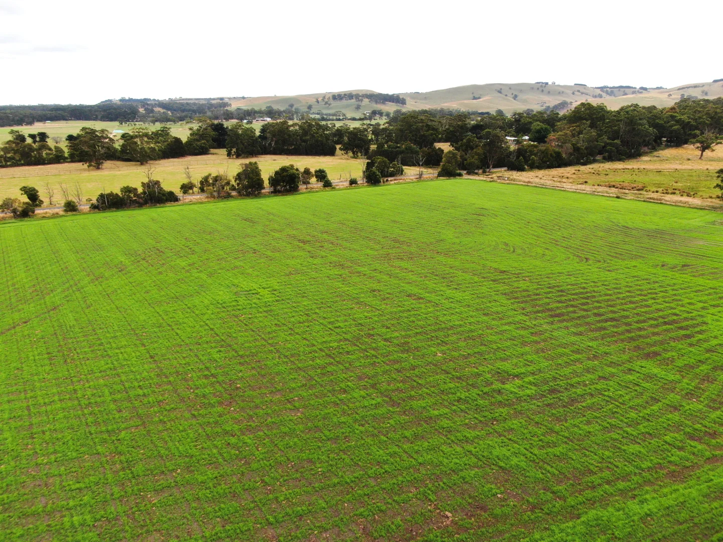 Additional image 9 of 147 Outtrim - Inverloch Road, Outtrim VIC 3951