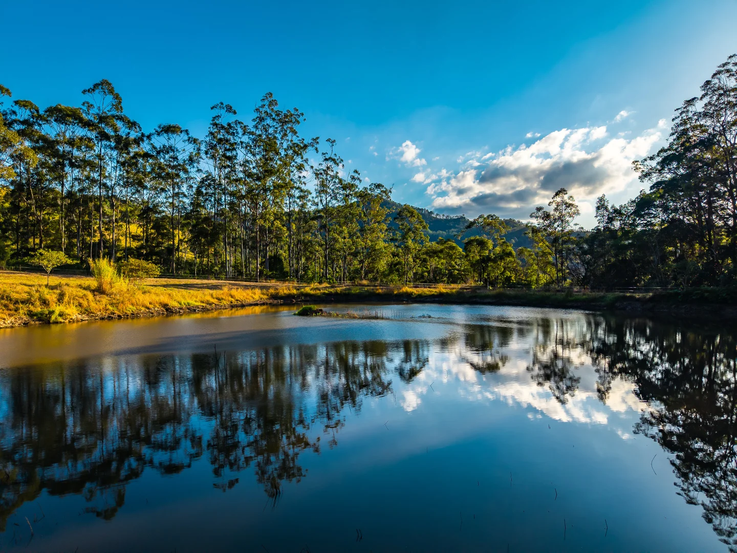 Additional image 3 of 193 Petsch Creek Road, Tallebudgera Valley QLD 4228