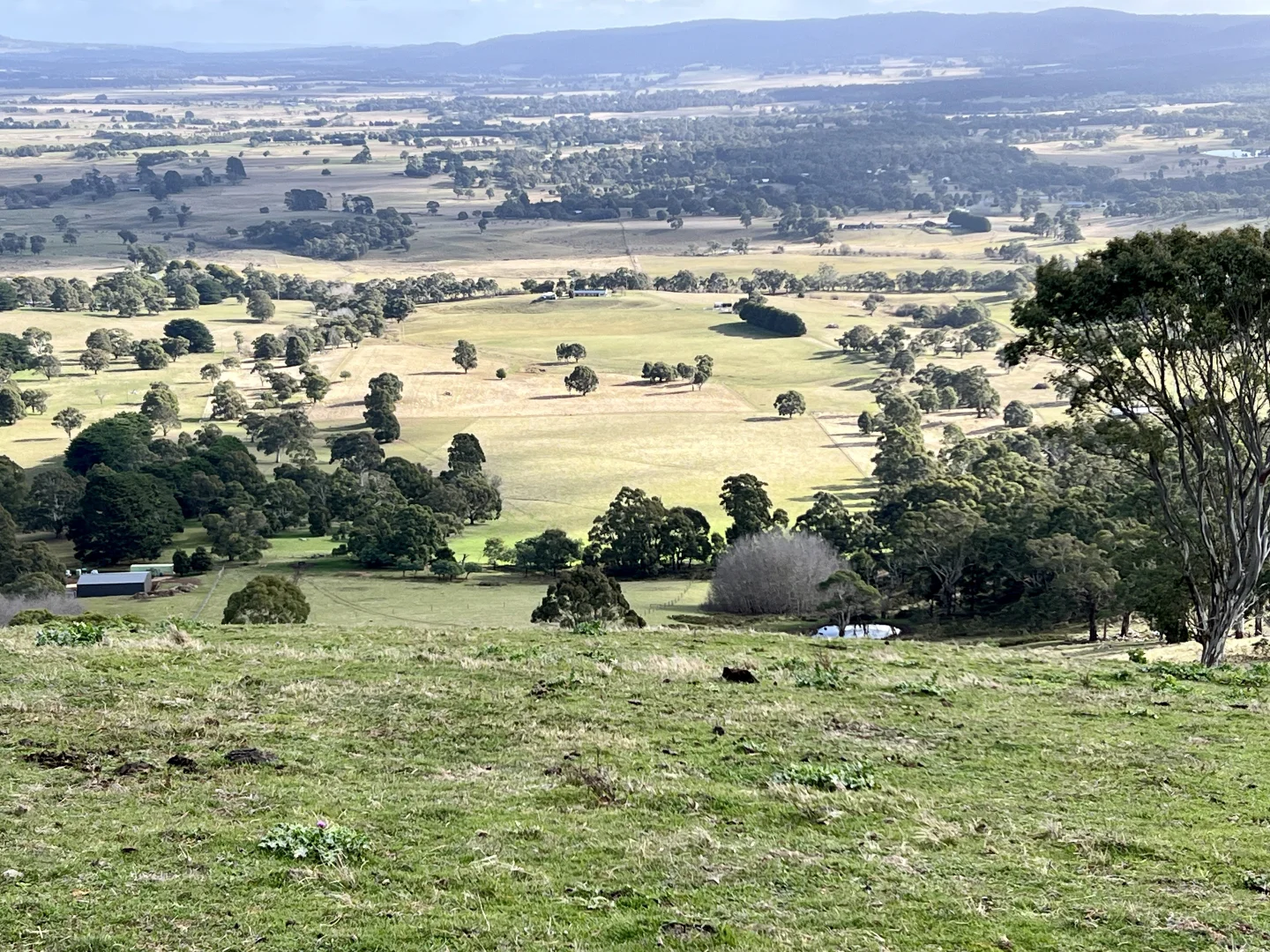 Additional image 24 of Red Gap Road/Fagans Lane, Goldie VIC 3435