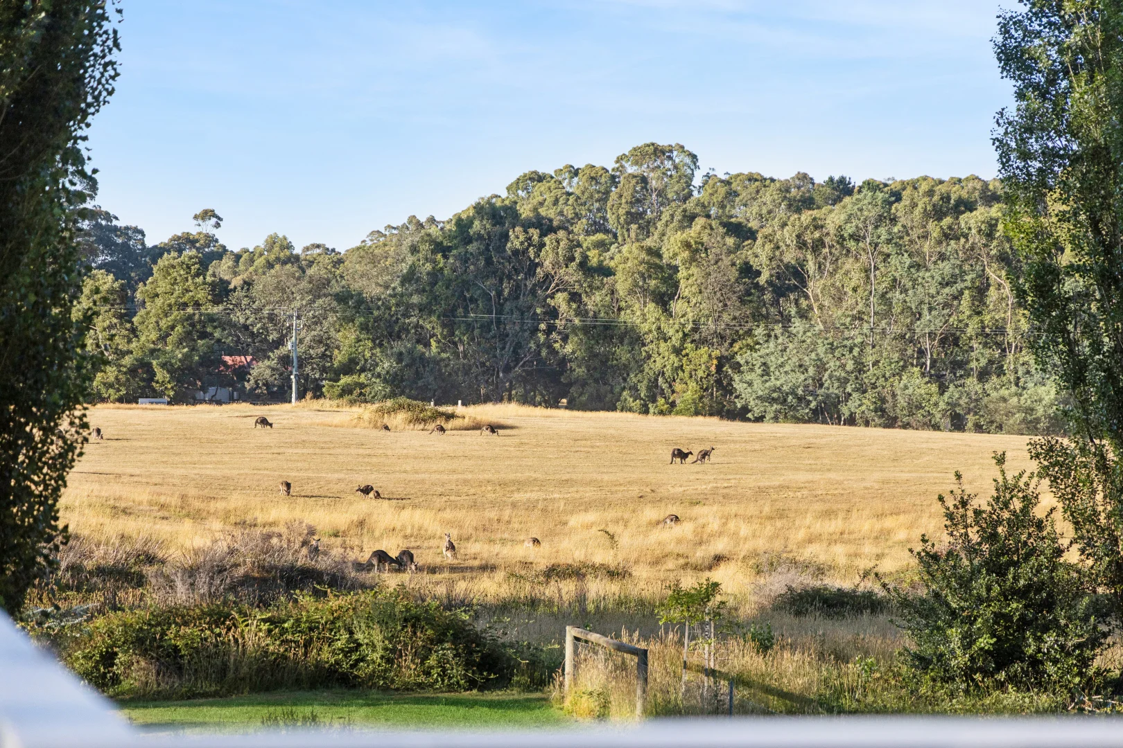 Additional image 15 of 95 High Street, Trentham VIC 3458
