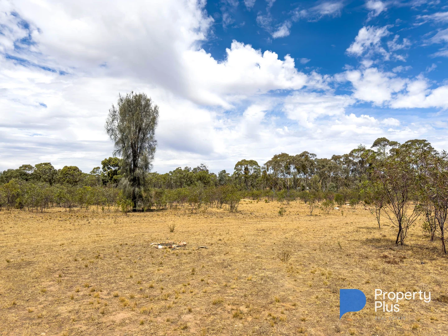 Additional image 3 of 81 Smiths Road, Bealiba VIC 3475