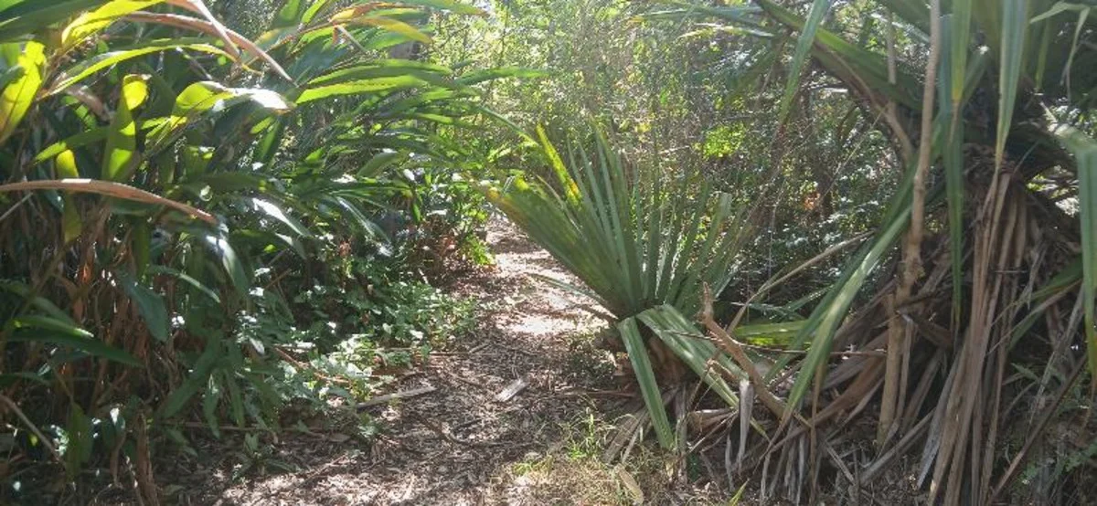 Additional image 6 of 1 Top End Mines Road, Torbanlea QLD 4662
