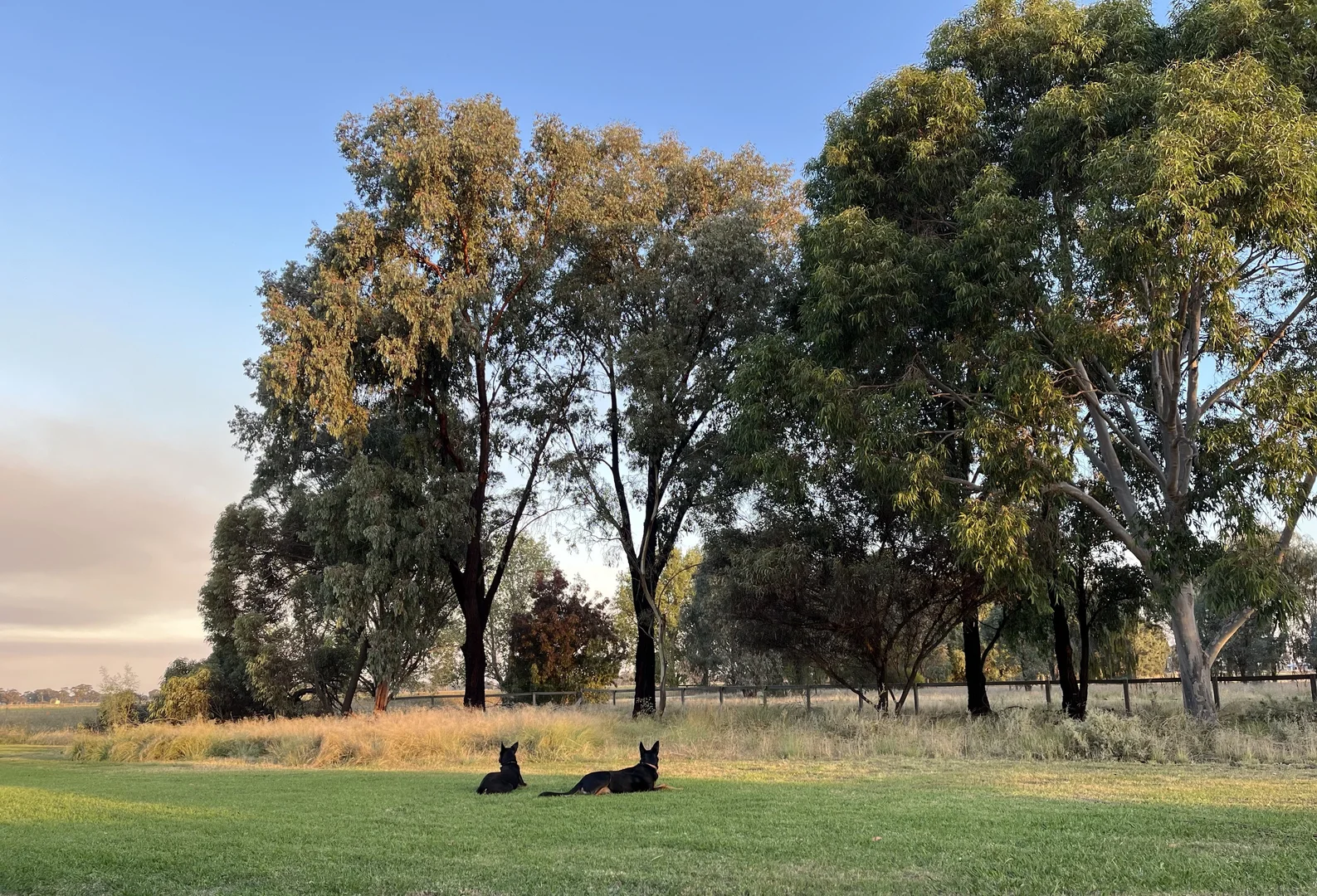 Additional image 26 of 520 Mayrung Road, Finley NSW 2713