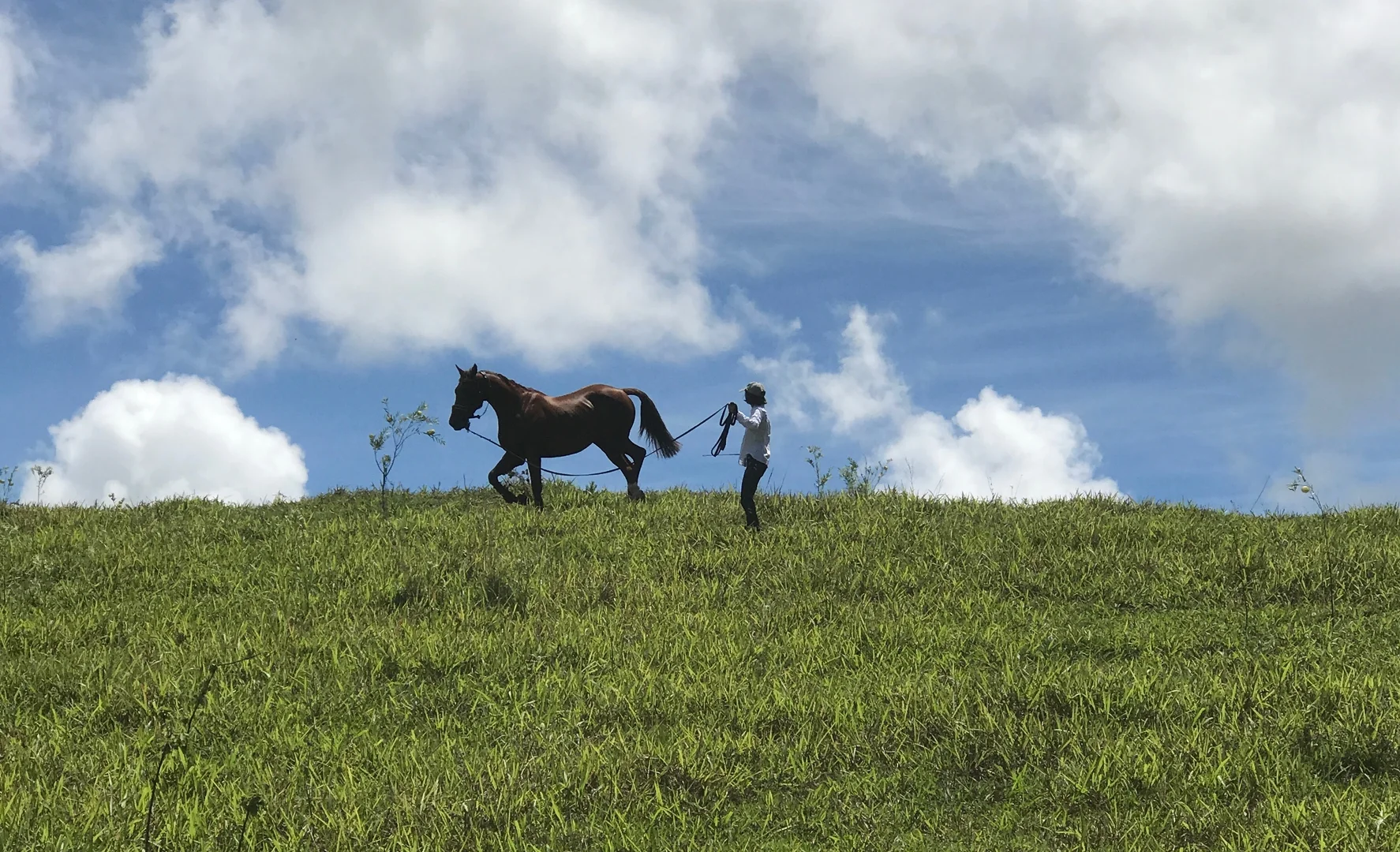 Additional image 24 of 410 Eviron Road, Farrants Hill NSW 2484