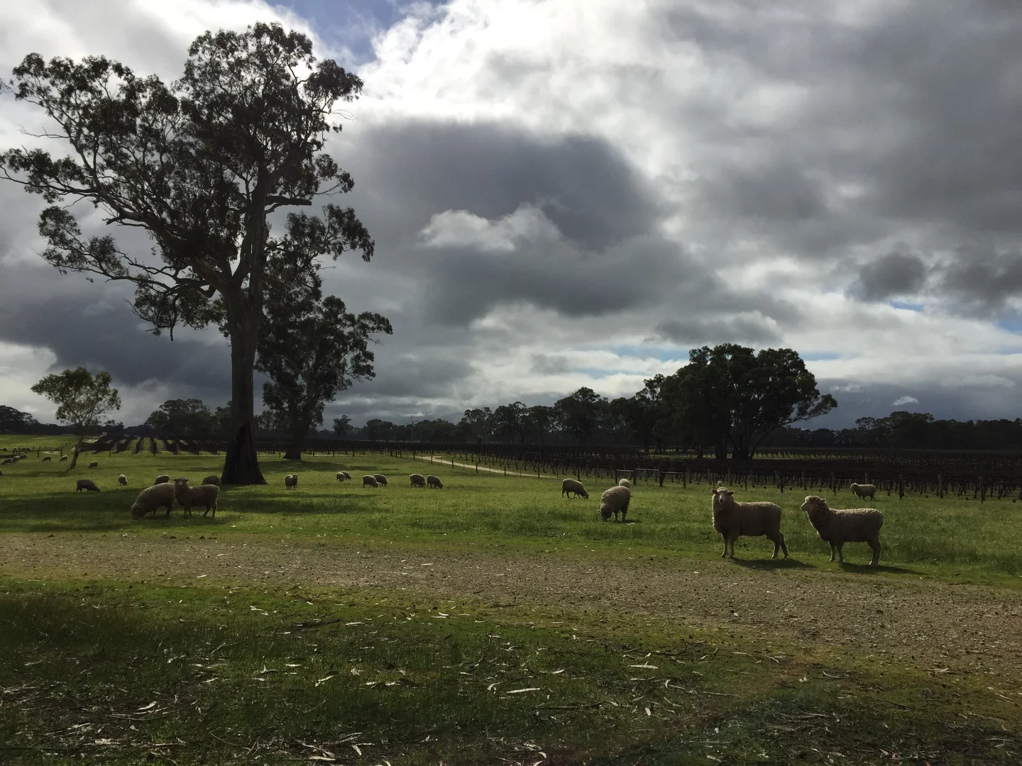 Additional image 14 of Nolans Road, Hynam SA 5262