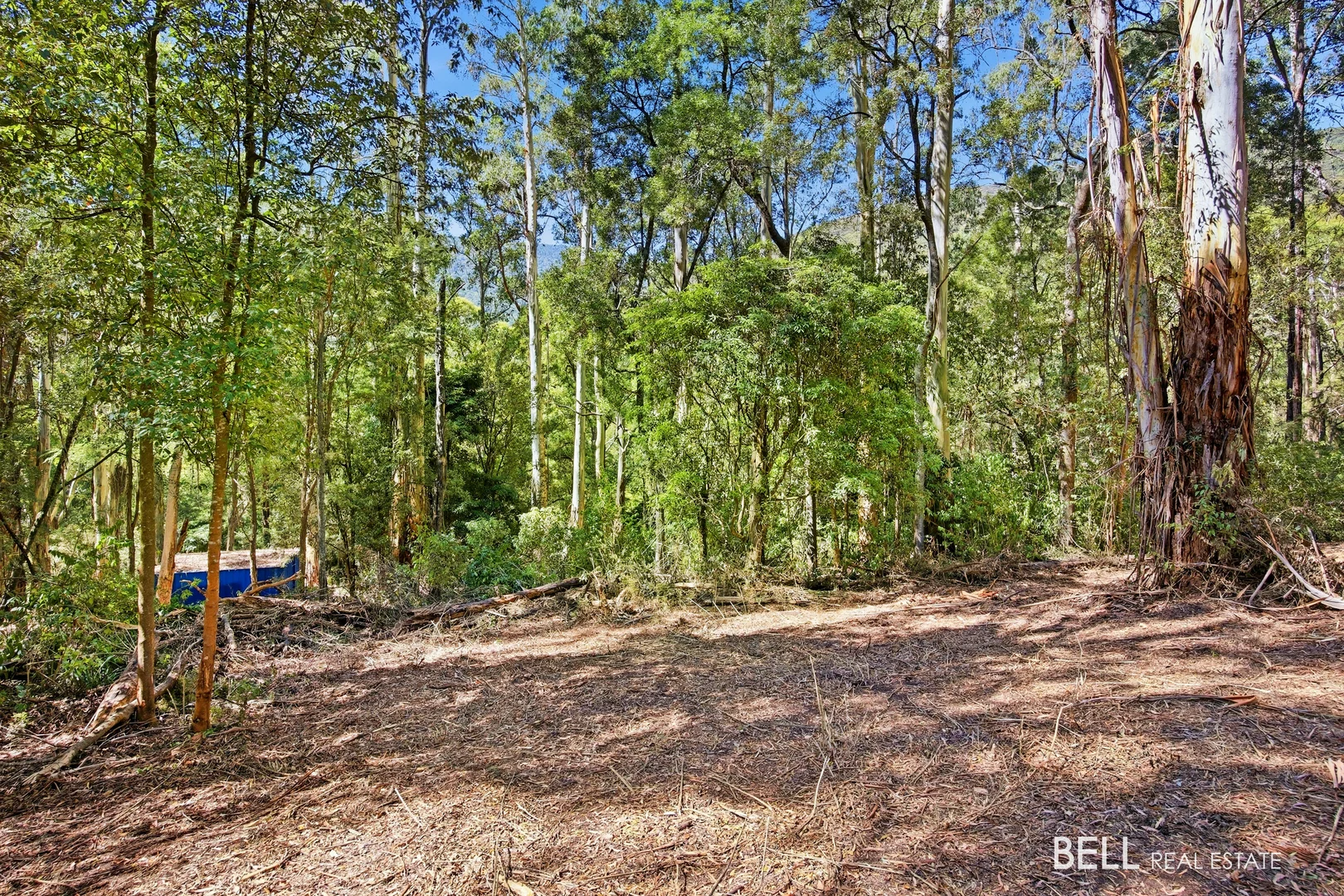 Additional image 6 of 5 Story Road, Warburton VIC 3799