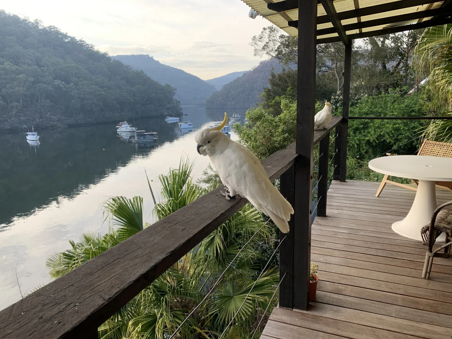 Additional image 16 of 7 Silverwater Reach, Berowra Waters NSW 2082