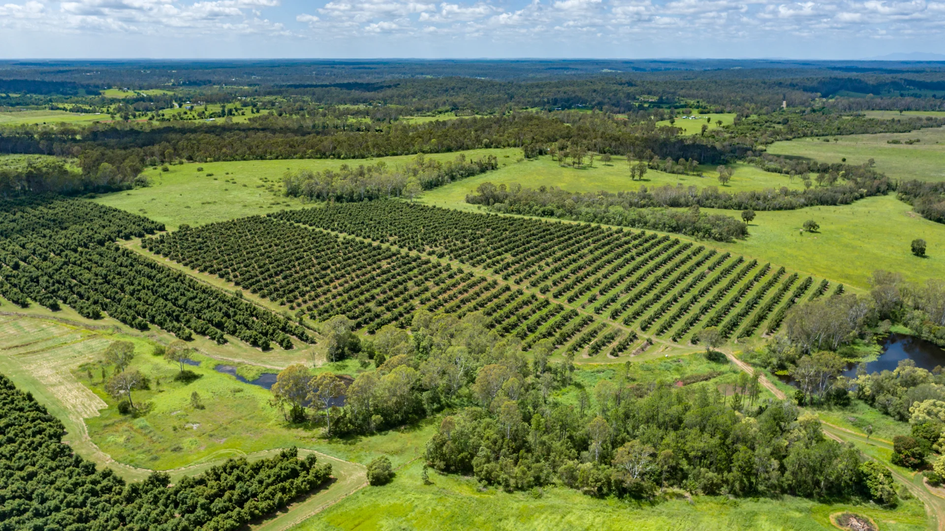 Additional image 12 of 807 Pine Creek Road, Givelda QLD 4670