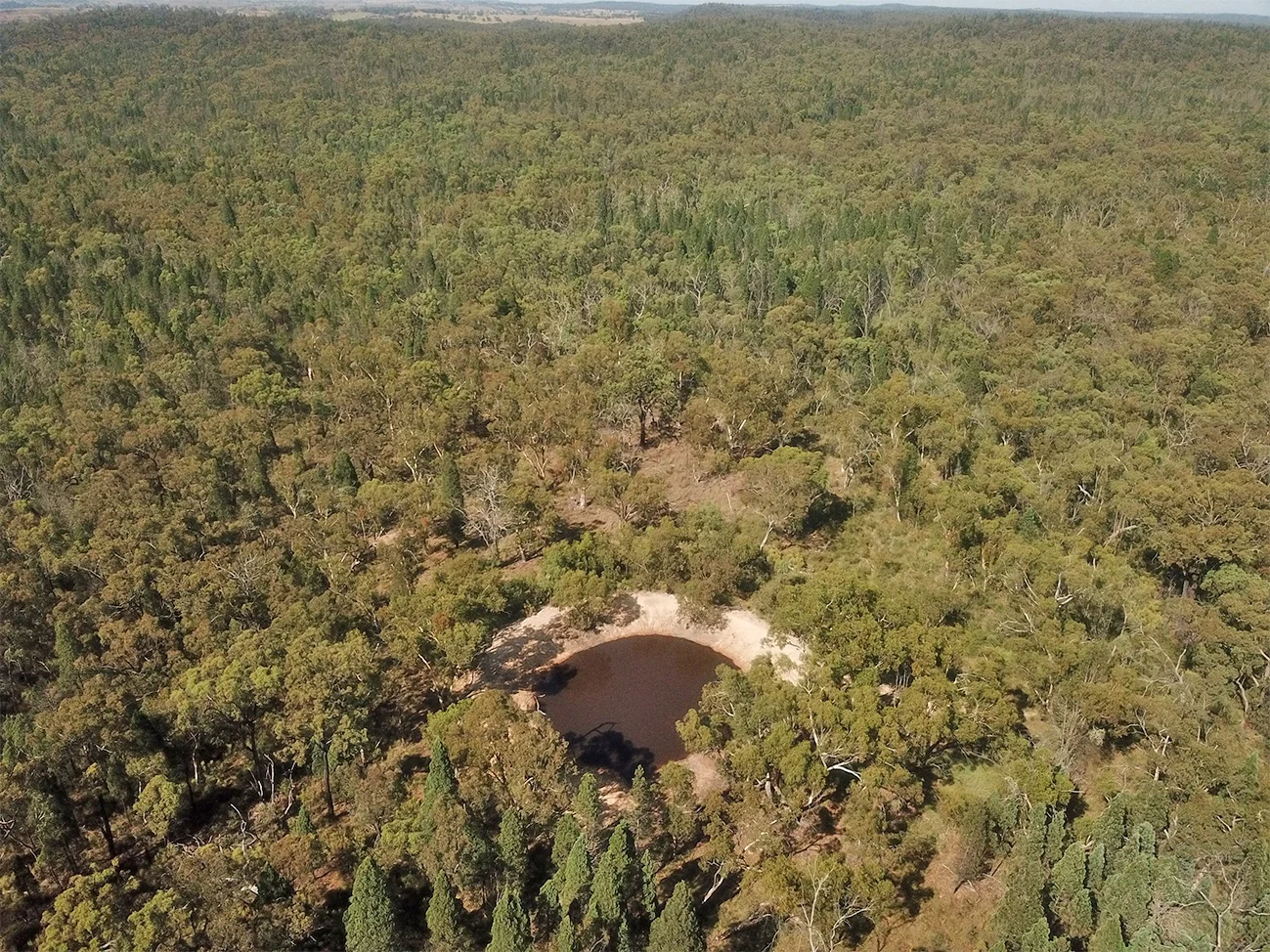 Additional image 15 of 3715 Wyuna Road, Rocky Glen NSW 2357