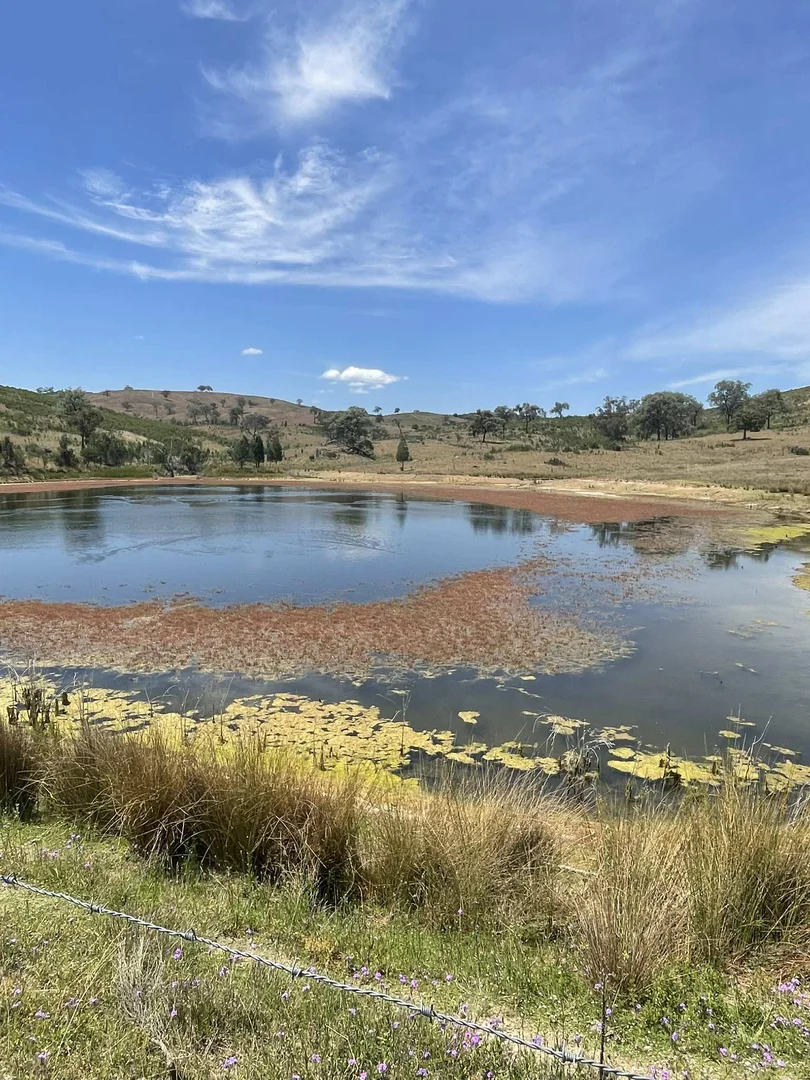 Additional image 4 of Lot 9 Silver Spur Redgate Road, Silver Spur QLD 4385