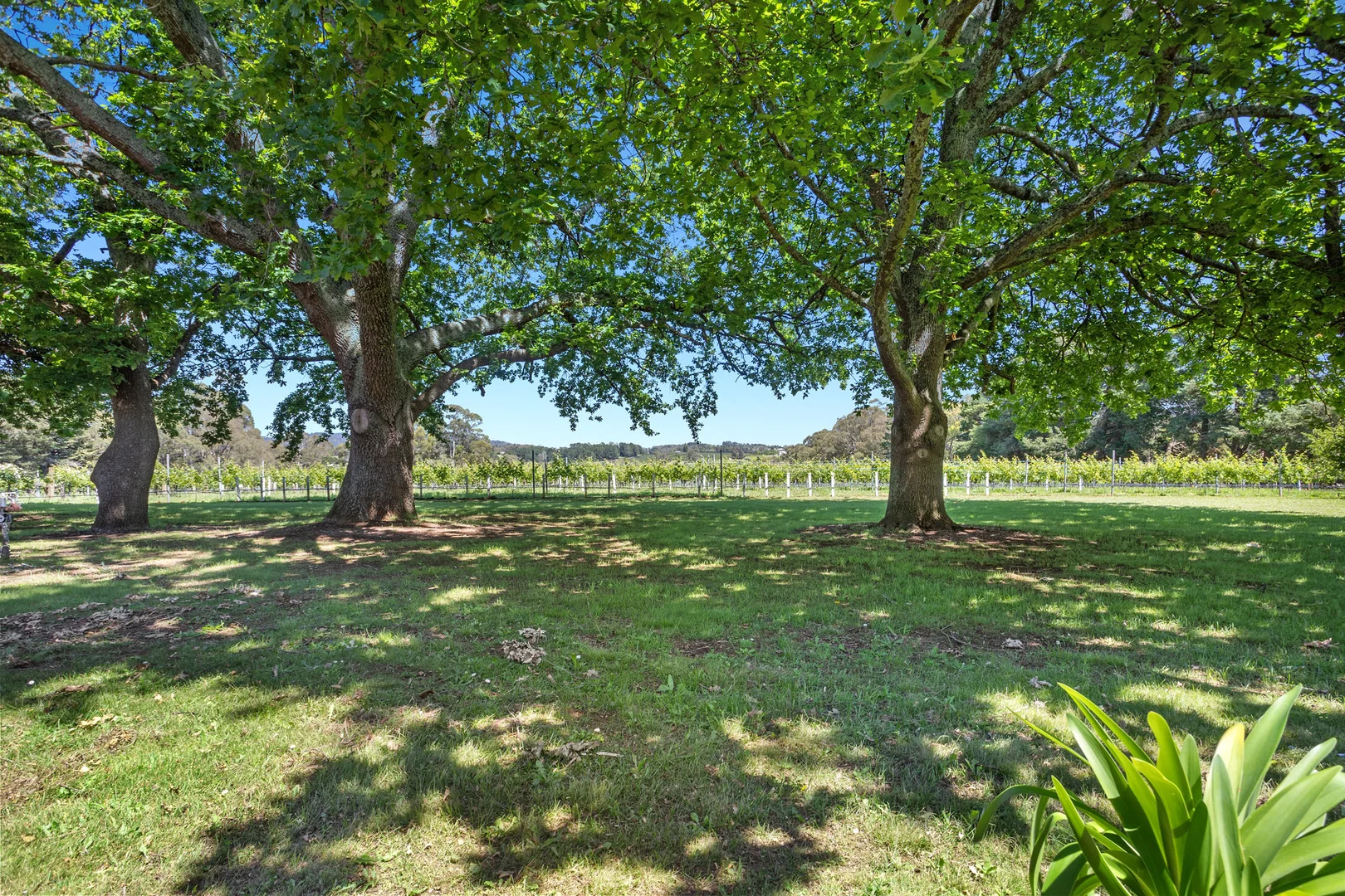 Additional image 20 of 60 Aitken Road, Wandin East VIC 3139