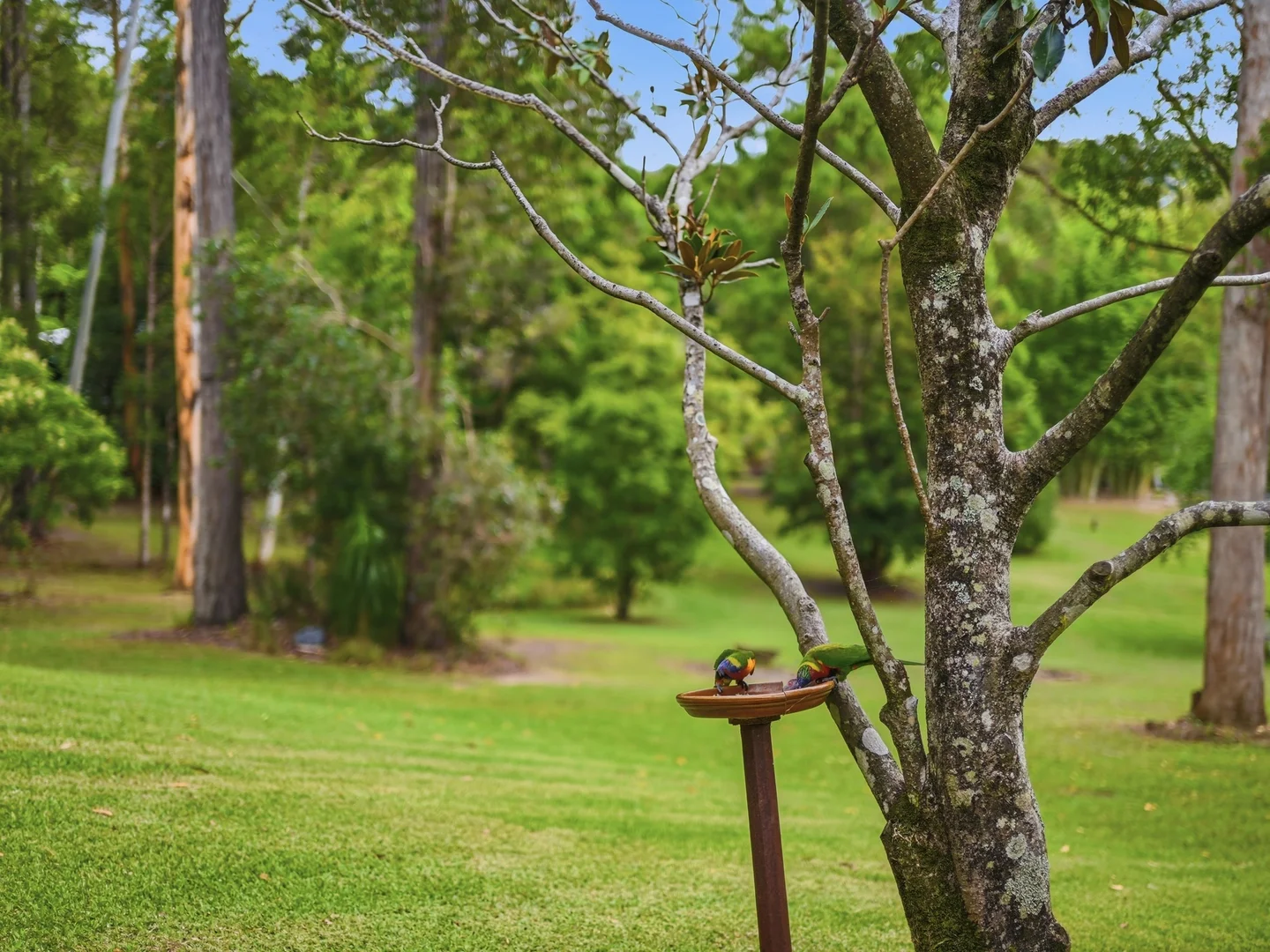 Additional image 23 of 3 Brumby Close, Moonee Beach NSW 2450