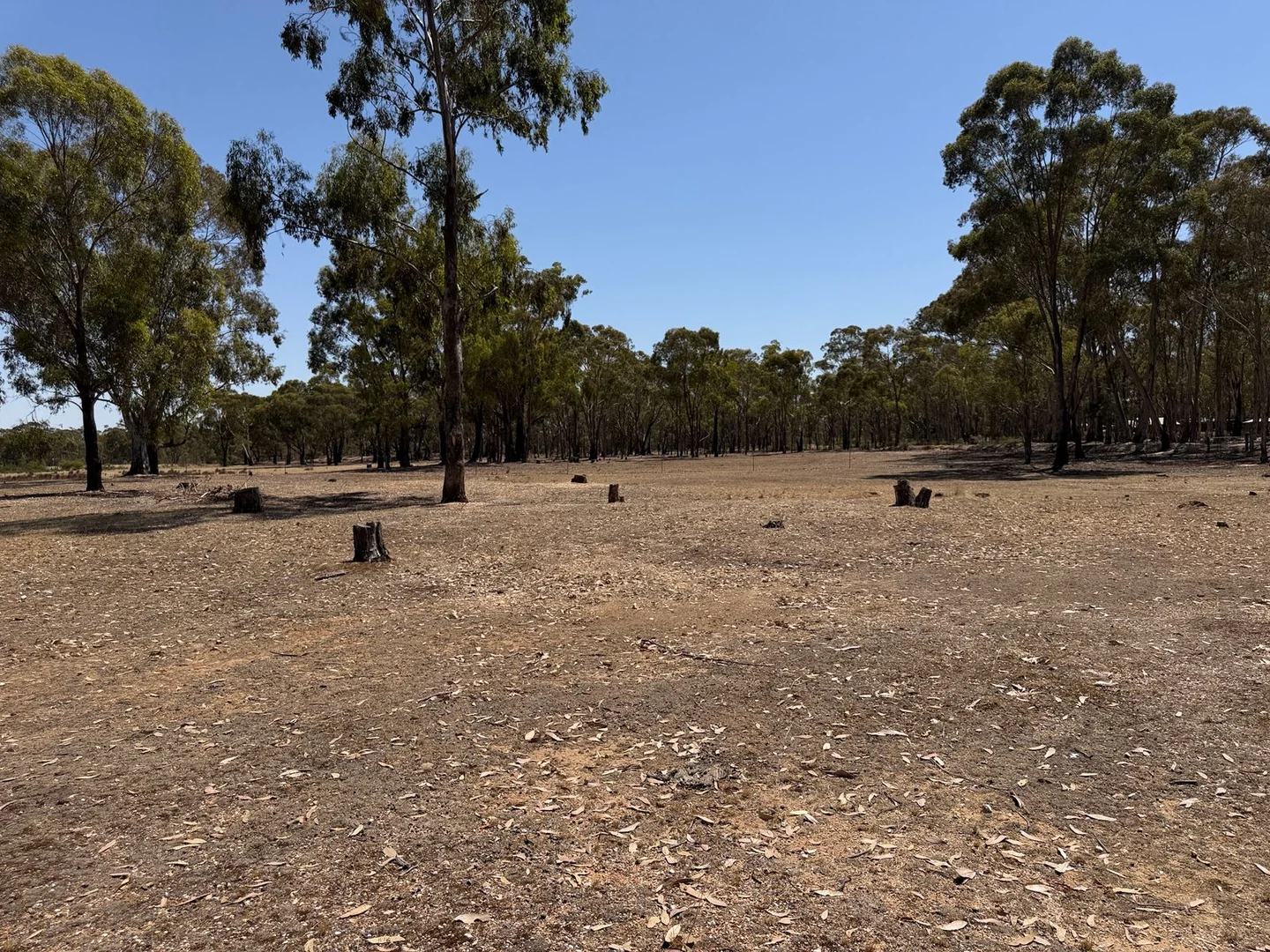 Additional image 24 of 18 Rowes Lane, Bowenvale VIC 3465