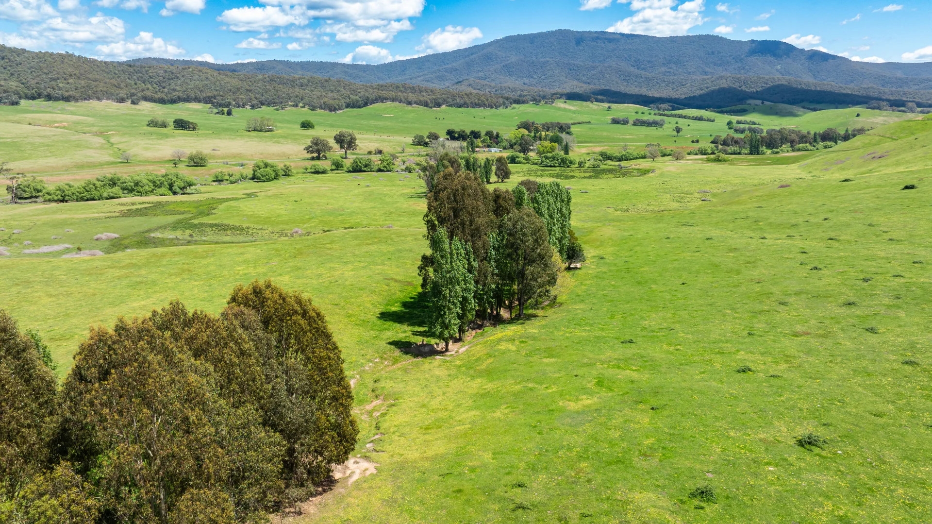 Additional image 17 of 'Grassmere'/2485 Tallangatta Creek Rd, Tallangatta Valley VIC 3701