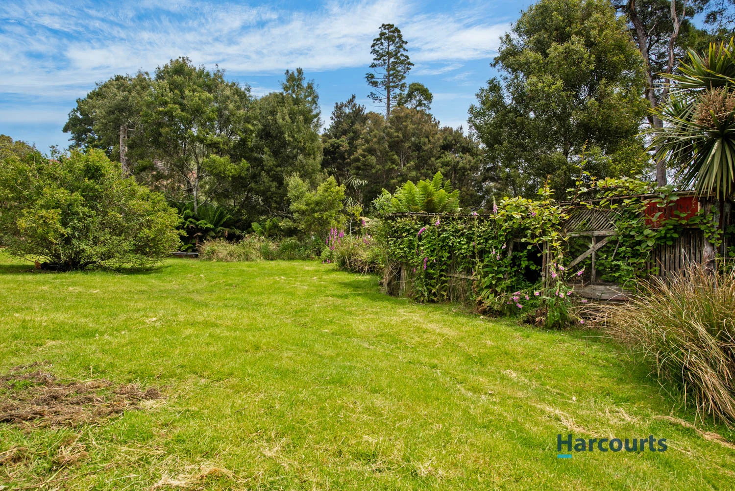 Additional image 15 of 3 Vivian Street, Strahan TAS 7468