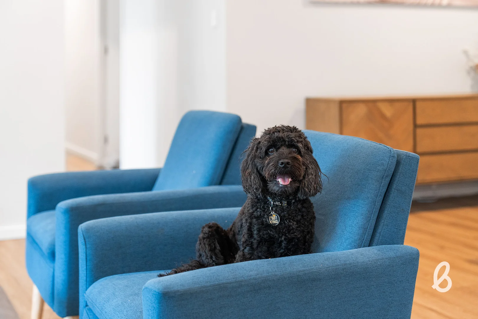 Additional image 31 of 48 Green Grove, Singleton NSW 2330