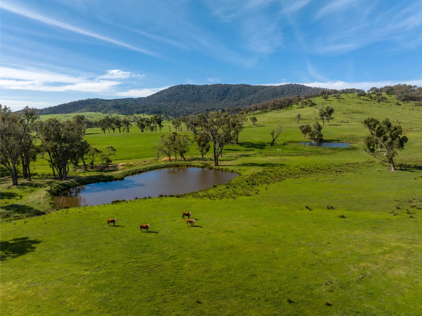 Additional image 2 of 589 Tooma Road, Tumbarumba NSW 2653