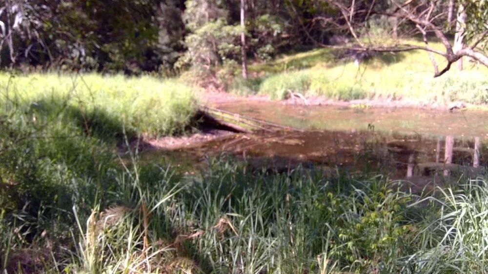 Additional image 2 of 622A Simpson Ridge Road, South Arm NSW 2449