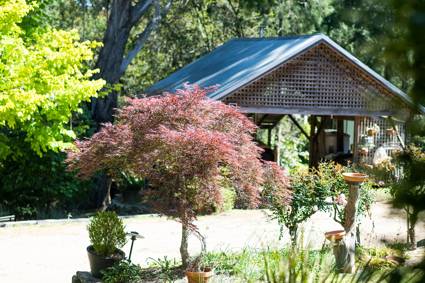 Additional image 13 of 10 Anzac Parade, Bundanoon NSW 2578