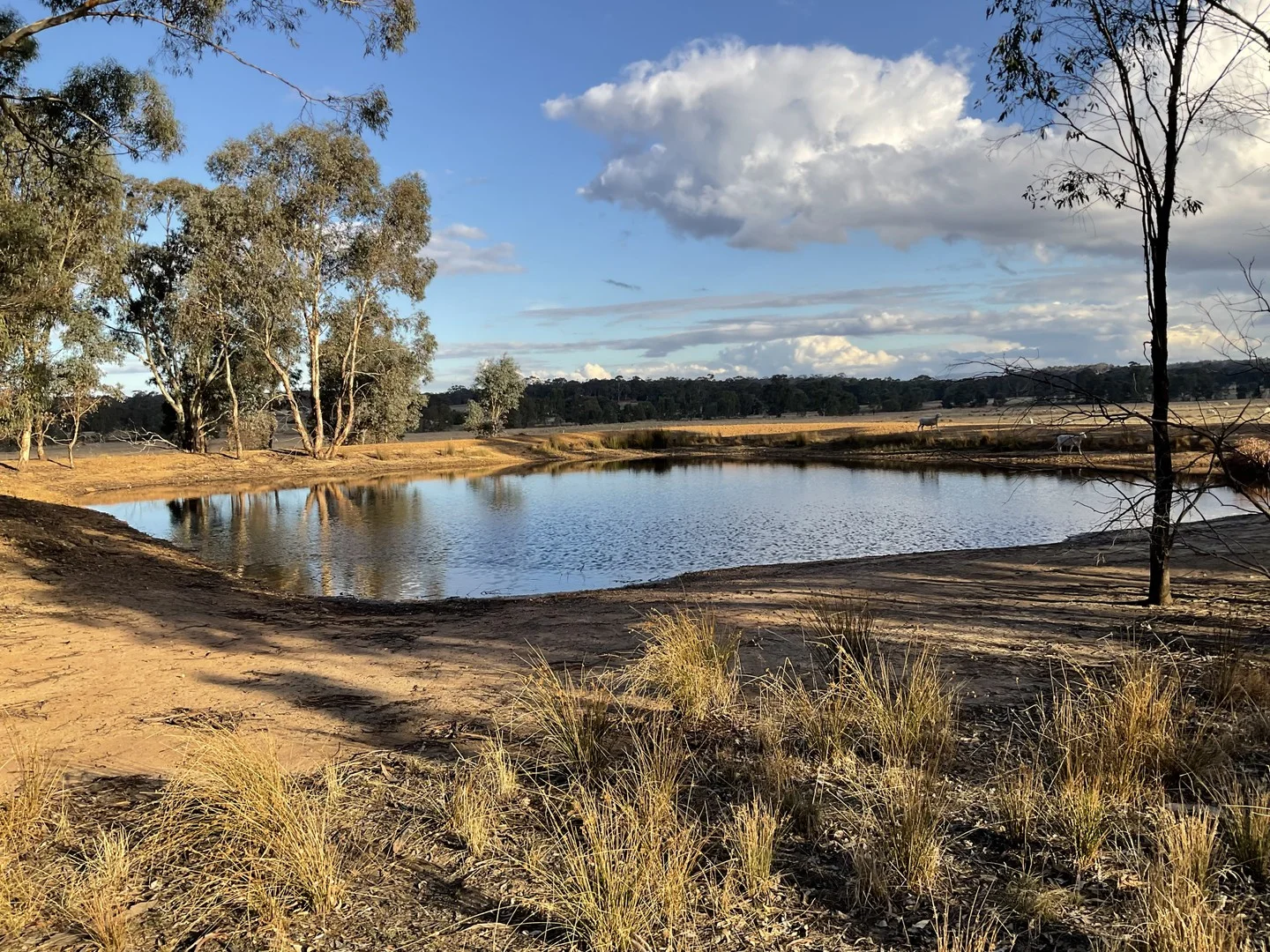 Additional image 3 of Rocky Ridge Road, Carapooee VIC 3477