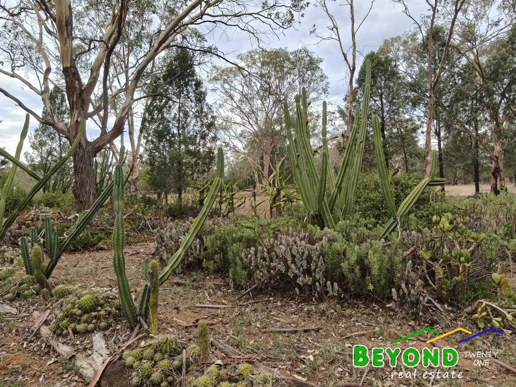 Additional image 35 of 836 Newell Highway, Gilgandra NSW 2827