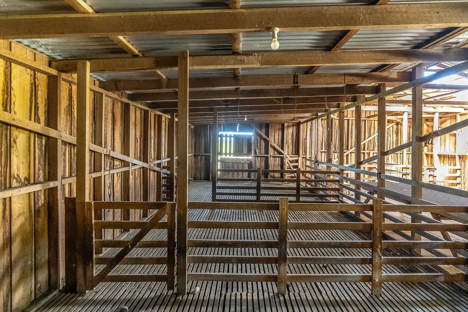 Additional image 16 of 696 Golconda Road, Lebrina TAS 7254