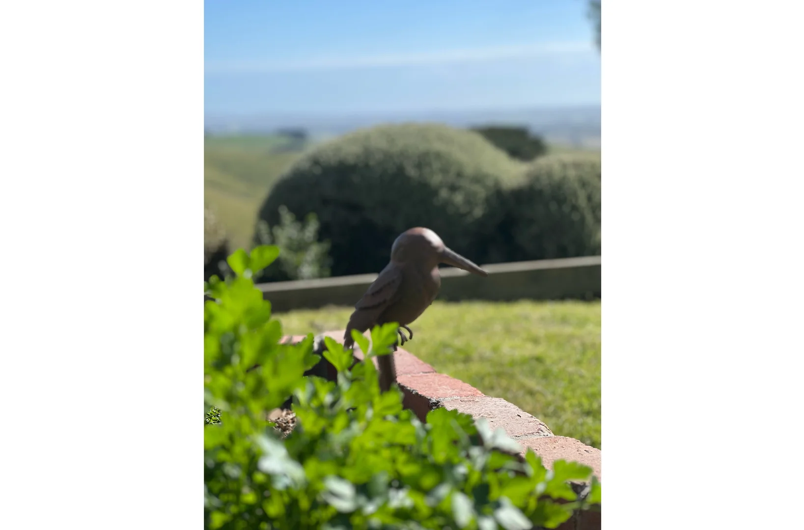 Additional image 8 of Foster VIC 3960