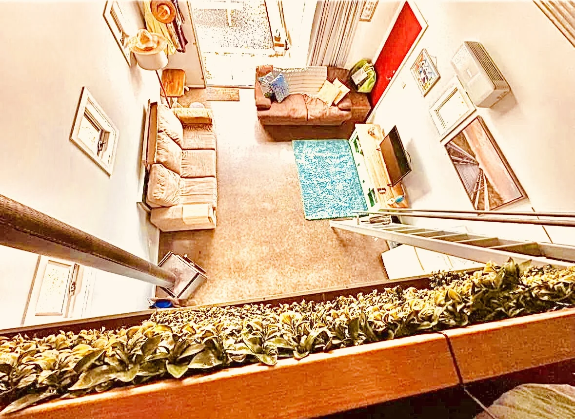 Additional image 4 of 103 Top Road West, Greens Beach TAS 7270