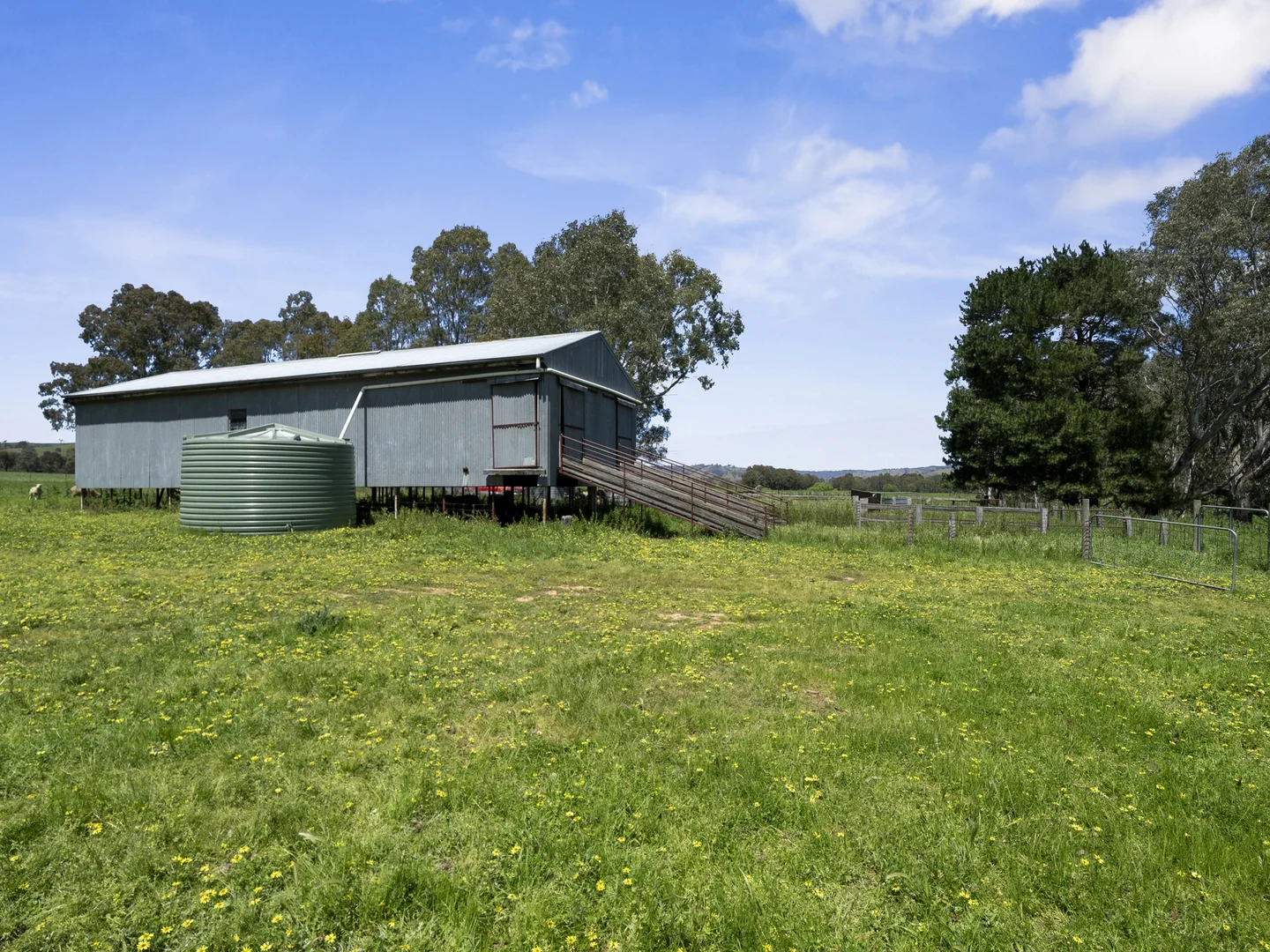 Additional image 15 of 379 Ancona Road, Ancona VIC 3715