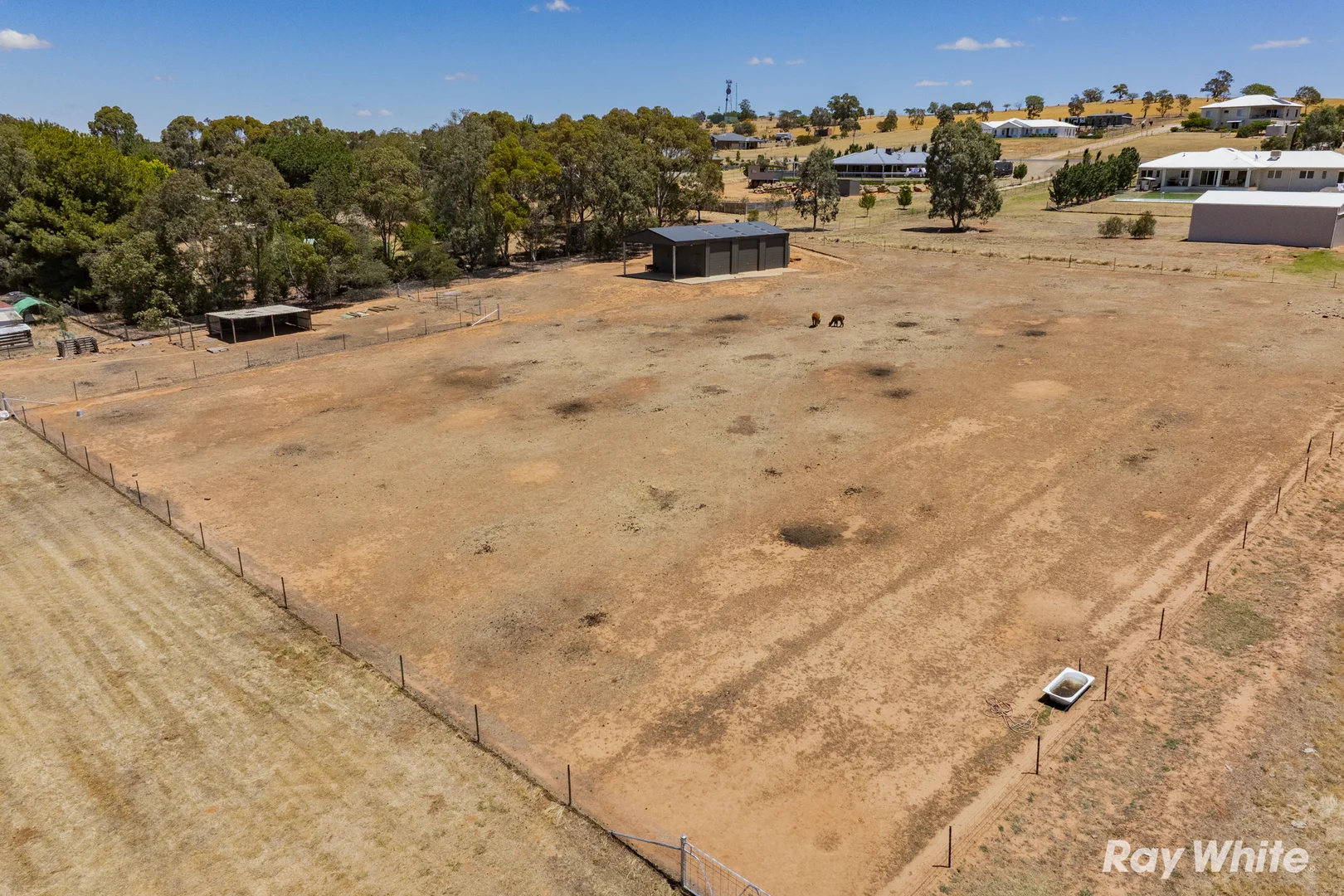 Additional image 22 of 5 Smythe Road, Junee NSW 2663