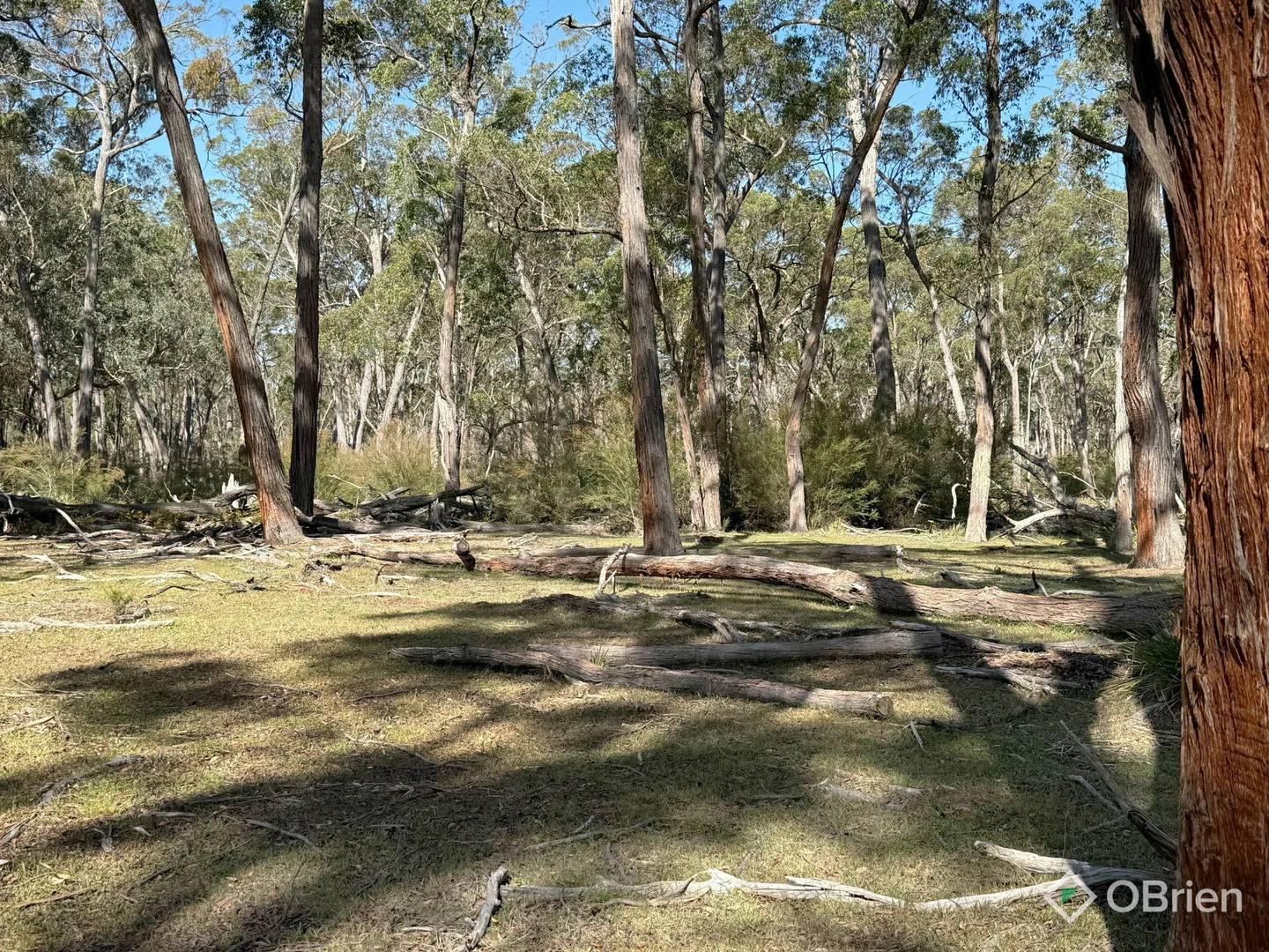 Additional image 18 of Sinclairs Road, Munro VIC 3862