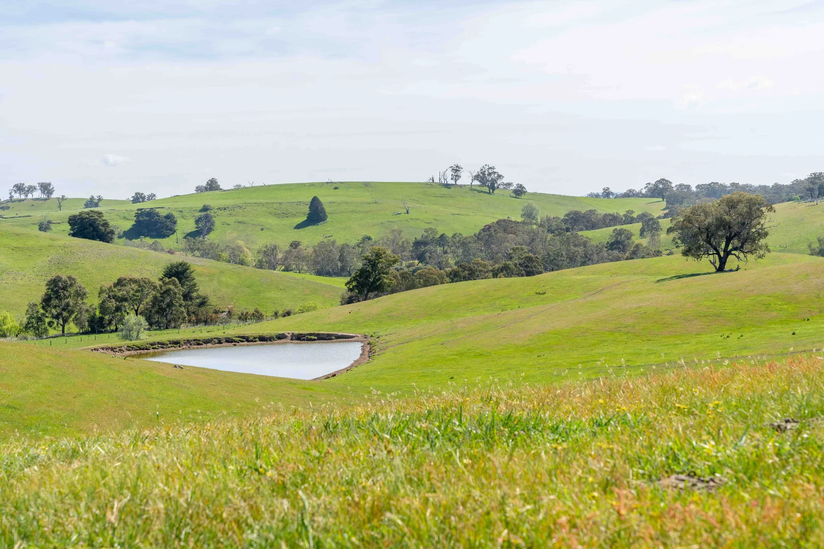 Additional image 11 of 362 Watchbox Road, Barfold VIC 3444