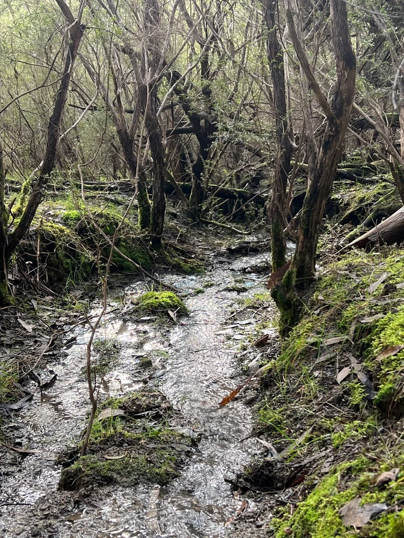 Additional image 4 of 52 Taylor Bay Road, Taylor Bay VIC 3713