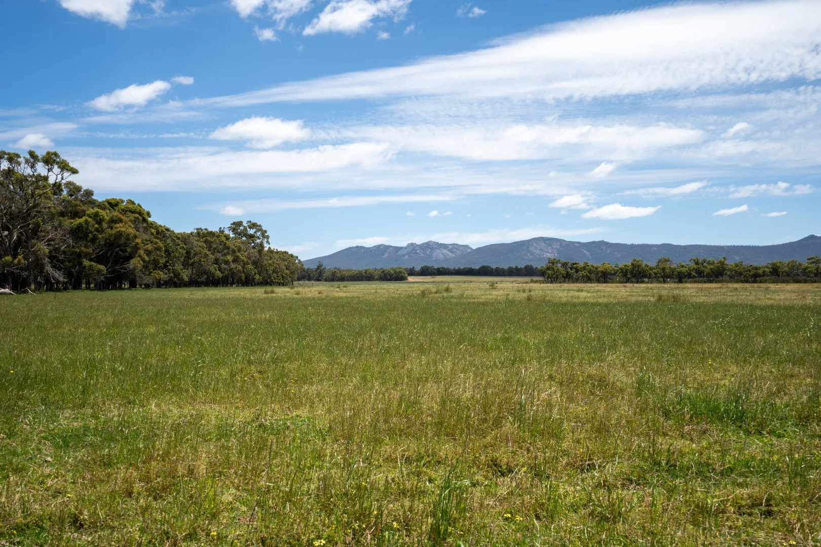 Additional image 16 of Lot 474 Yellanup Road, Narrikup WA 6326