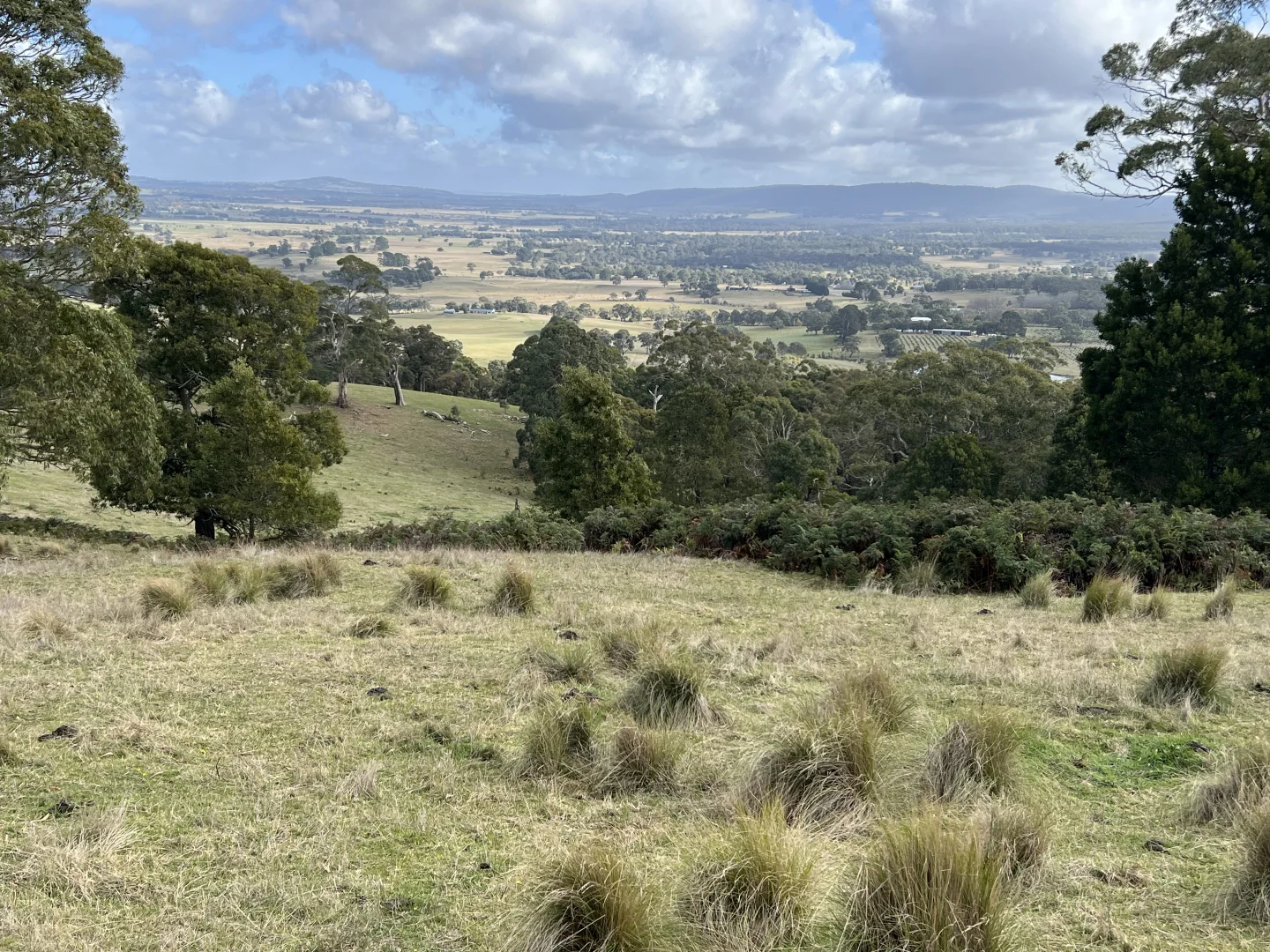 Additional image 21 of Red Gap Road/Fagans Lane, Goldie VIC 3435