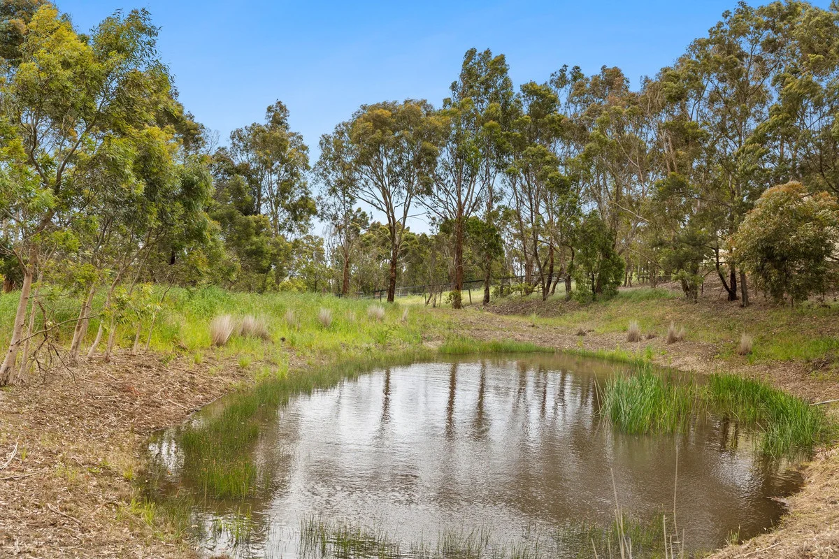 Additional image 24 of 65 Coalmine Road, Winchelsea VIC 3241