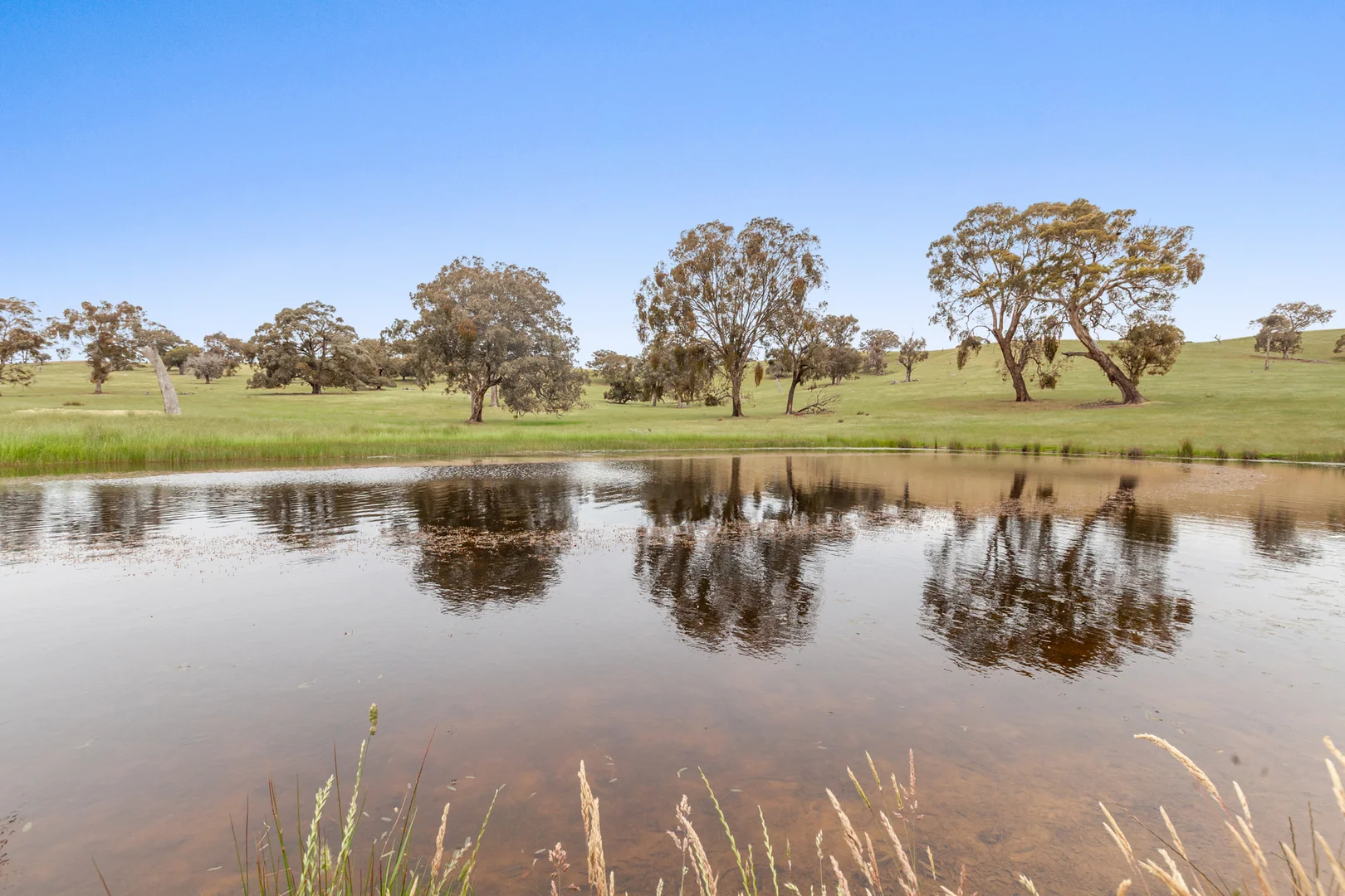 Additional image 18 of 20 Jones Road, Broadford VIC 3658
