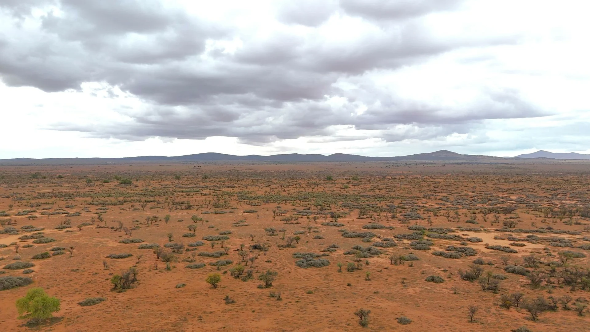 Additional image 5 of 'Acacia Ridge' 511 Tapscott Rd, Orroroo SA 5431