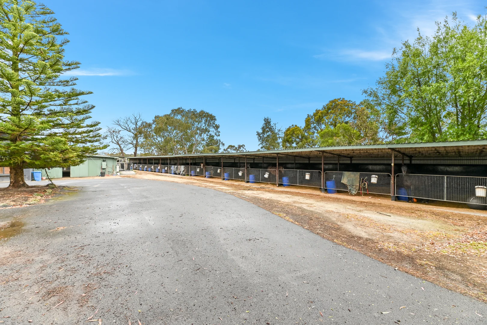 Additional image 7 of 50 Langley Road, Cranbourne South VIC 3977