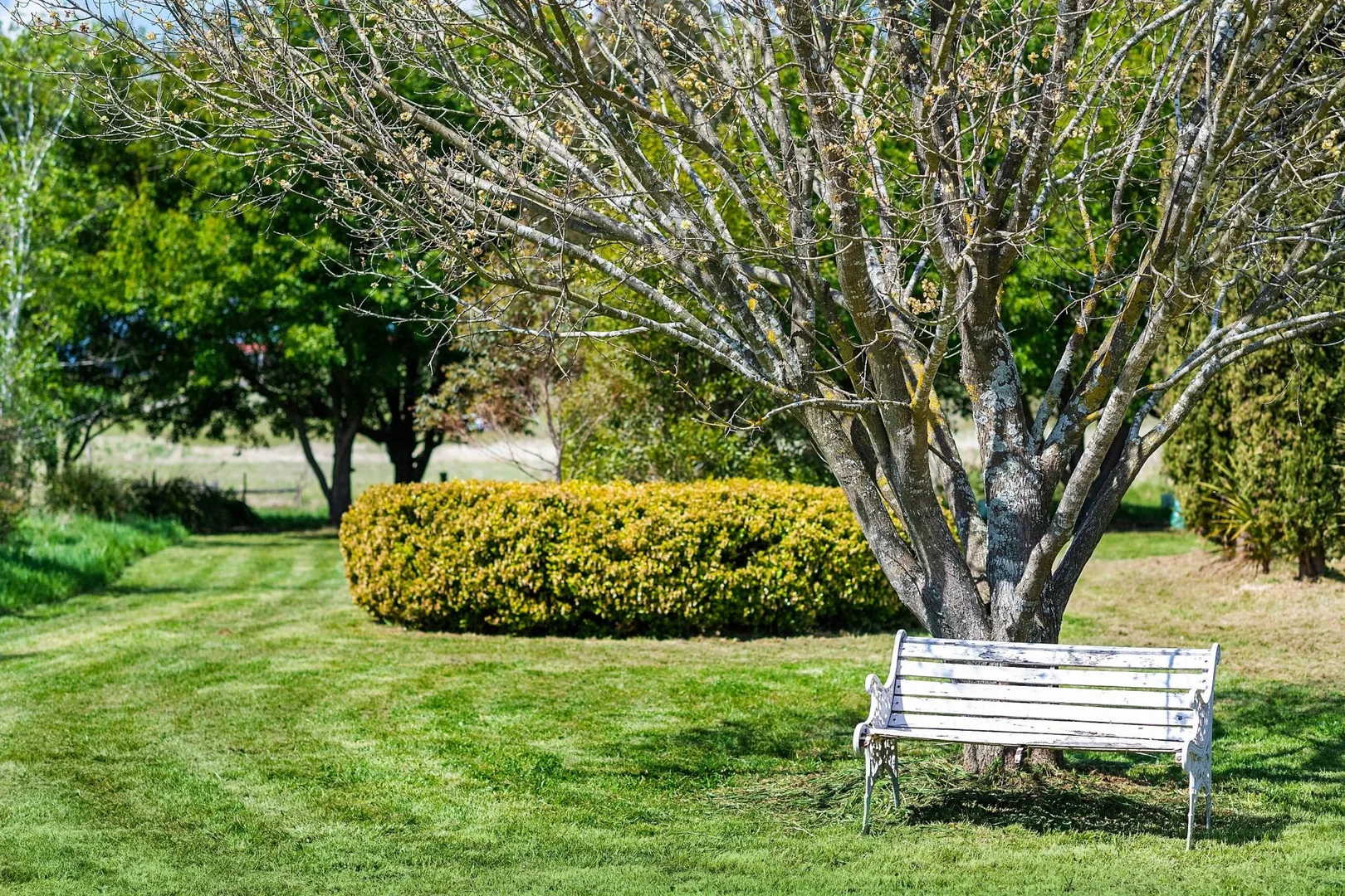 Additional image 19 of 138 Bibbys Lane, Werai NSW 2577